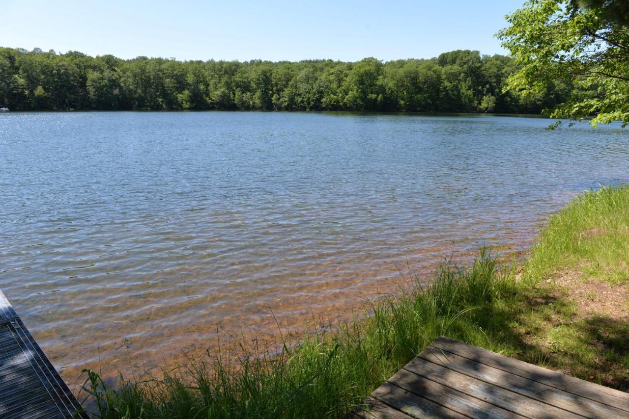 Decompression Zone Villa Arbor Vitae Екстериор снимка
